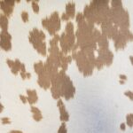 v311 Moove Over Palomino